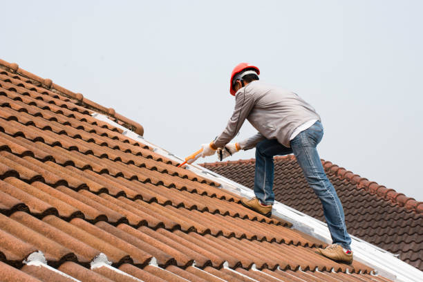 Best Roof Coating and Sealing  in Frontenac, KS